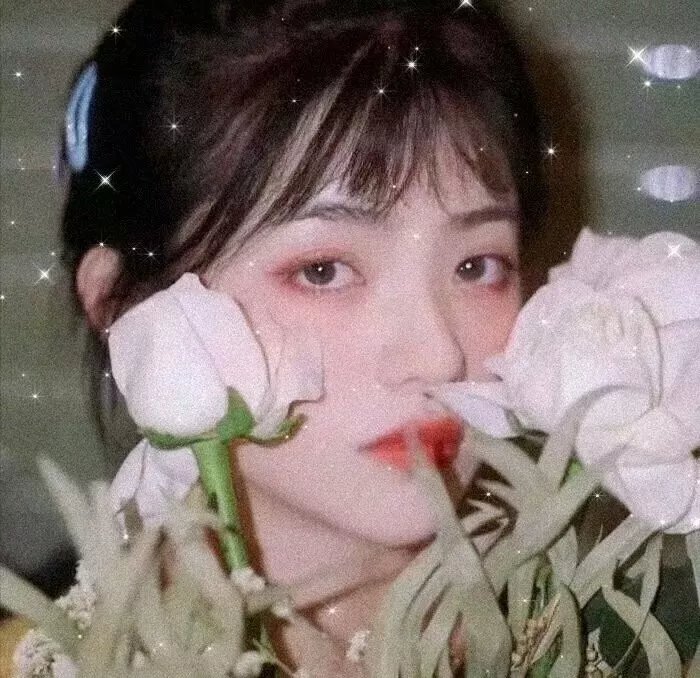 我的特务女友